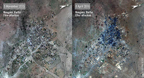 Satellitbild från Nuoguey – före och efter en attack som misstänks ha utförts av regimens militärstyrkor.
